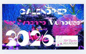 🏊‍♀️ CALENDRIER 2026 