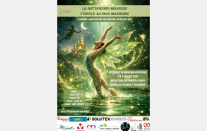 La Nat’Synchro Mulhouse  s’envole au pays imaginaire