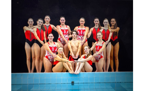 Toutes catégories Requins